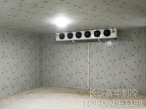 蔬菜冷库
