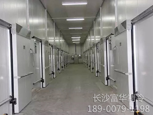 物流冷链