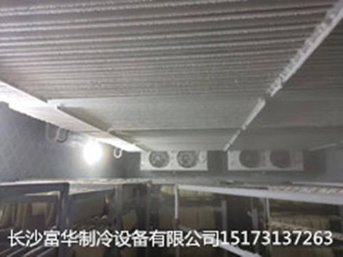 粉丝冷库